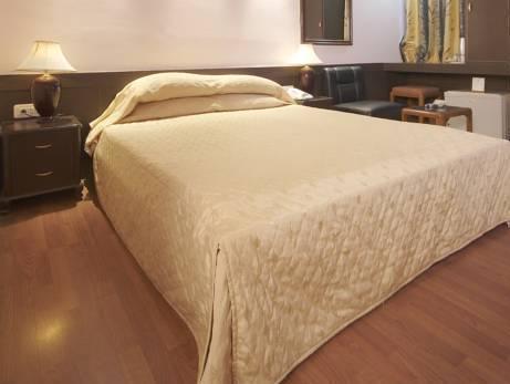 Hotel Jaies Dźajpur Zewnętrze zdjęcie